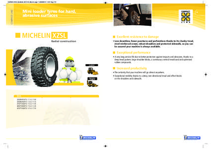 SZONE LPAG_DataBook_2013 A4_Mise en page[removed]:25 Page 115  COMPACT LINE Mini loader tyres for hard, abrasive surfaces