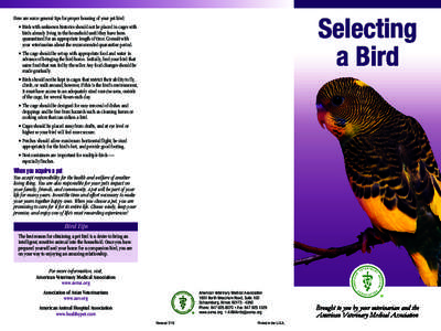 Here are some general tips for proper housing of your pet bird: • Birds with unknown histories should not be placed in cages with birds already living in the household until they have been quarantined for an appropriat