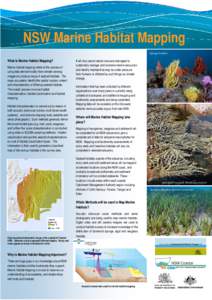 NSW Marine Habitat Mapping Sponge Garden What is Marine Habitat Mapping? Marine habitat mapping refers to the process of using data derived mostly from remote-sensing