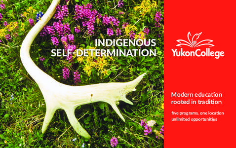 INDIGENOUS SELF-DETERMINATION five programs one location unlimited opportunities