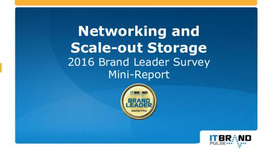 Networking and Scale-out Storage 2016 Brand Leader Survey Mini-Report