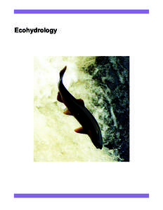 Ecohydrology  Predicting the Impact of Glacier Loss on Fish, Birds, Floodplains, and Estuaries in the Arctic National Wildlife Refuge Matt Nolan, Roy Churchwell, Jeff Adams, Jim McClelland, Ken