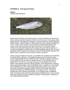 1 APPENDIX B. Fish Species Profiles Alewife (Alosa pseudoharengus)  Alewives are members of the herring family. As with all members of the herring
