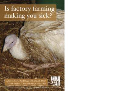 Is factory farming making you sick? A GUIDE TO ANIMAL DISEASES AND THEIR IMPACT ON HUMAN HEALTH