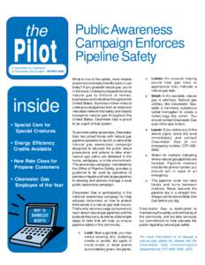 the  Pilot Public Awareness Campaign Enforces