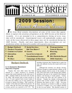 Copy of 2009 GA Issues final.pub