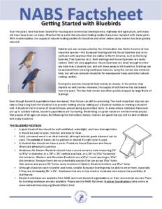 NABS Factsheet Getting Started with Bluebirds