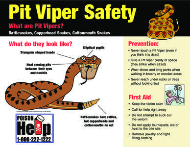 Pit Viper Safety What are Pit Vipers? Rattlesnakes, Copperhead Snakes, Cottonmouth Snakes What do they look like?