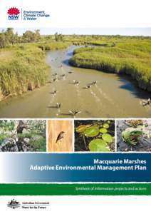 Macquarie Marshes Adaptive Environmental Management Plan Synthesis of information projects and actions Macquarie Marshes Adaptive Environmental Management Plan