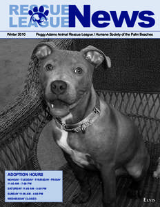 Animal shelters / Pet adoption / Pets / Animal euthanasia / Rescue dog / Overpopulation in companion animals / Pet / Dog / Monmouth SPCA / Zoology / Biology / Animal welfare