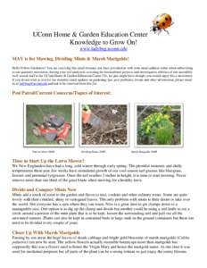 UConn Home & Garden Education Center Knowledge to Grow On! www.ladybug.uconn.edu MAY is for Mowing, Dividing Mints & Marsh Marigolds! Hello Fellow Gardeners! You are receiving this email because you have provided us with