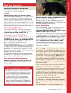 Black Bear  Black Bear Regulations