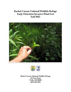 Rachel Carson National Wildlife Refuge Early Detection Invasive Plant List Fall 2012 Early Detection of Yellow Iris on Rachel Carson NWR in[removed]Wells, Maine