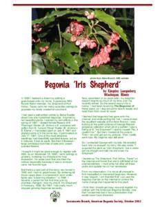 photo from Astro Branch, ABS website  Begonia ‘Iris Shepherd’ by Kingsley Langenberg Waukegan, Illinois In 1980 I realized a dream by adding a