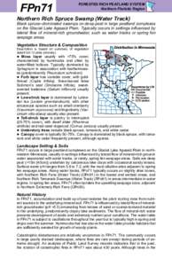 FPn71 Northern Rich Spruce Swamp (WaterTrack) factsheet