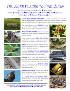 TEN SURE PLACES TO FIND BUGS FALLEN TREES, STONES & BOARDS g AT FLOWERS TREES & TREE STUMPS g PONDS & STREAMS g PLANTS g CARS g WINDOWS PORCH LIGHTS g ANIMALS g LEAVES & DUFF  FALLEN TREES, STONES AND BOARDS cover darkli