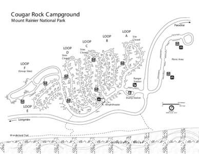 Cougar Rock Campground Mount Rainier National Park Paradise 3 2