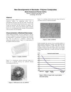 New Developments in Nanotube / Polymer Composites Stella Kindred and Patrick Collins Hyperion Catalysis International, Inc. Cambridge, MAAbstract