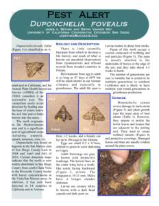 Pest Alert  Duponchelia fovealis James a. Bethke and Bryan Vander Mey University of California Cooperative Extension San Diego