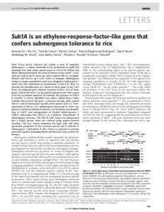 Vol 442|10 August 2006|doi:[removed]nature04920  LETTERS Sub1A is an ethylene-response-factor-like gene that confers submergence tolerance to rice Kenong Xu1, Xia Xu1, Takeshi Fukao2, Patrick Canlas1, Reycel Maghirang-Rod