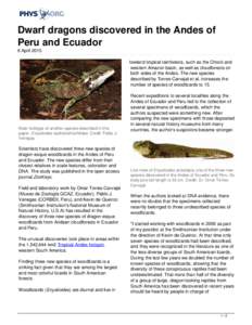 Americas / Physical geography / Hoplocercidae / Andes / Ecuador / Blue-spotted Wood Lizard / Enyalioides laticeps / Lizards / South America / Enyalioides