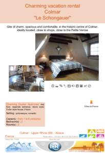 ,  Charming vacation rental Colmar 