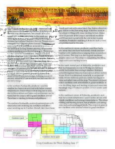 Nebraska Wheat Crop Report June 17, 2015 Kelly Schnoor, Intern 