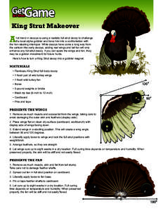 King Strut Makeover  A hot trend in decoys is using a realistic full strut decoy to challenge the local alpha gobbler and force him into a confrontation with