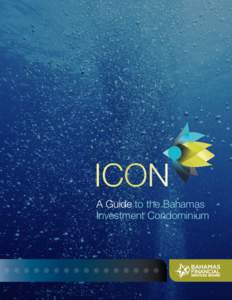 ICON  A Guide to the Bahamas Investment Condominium  Table of