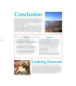 Ruth Ann Angus  *pages1-20_11[removed]:24 PM Page 19 Conclusion Measuring the health of the Morro Bay Estuary is a difficult task. The