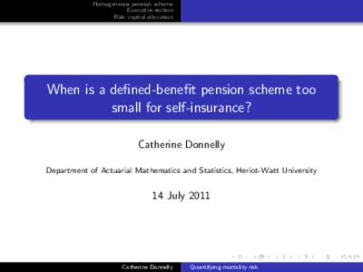When is a defined-benefit pension scheme too small for self-insurance?
