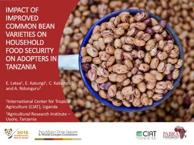 IMPACT OF IMPROVED COMMON BEAN VARIETIES ON HOUSEHOLD FOOD SECURITY