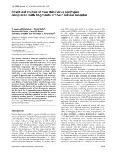 The EMBO Journal Vol.18 No.22 pp.6249–6259, 1999  Structural studies of two rhinovirus serotypes complexed with fragments of their cellular receptor  Prasanna R.Kolatkar1, Jordi Bella2,