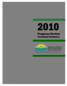 2010 Progress Review Technical Summary 2010