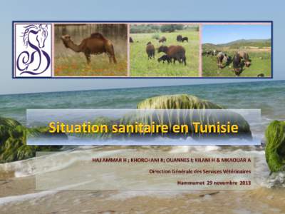 Geography of Africa / Delegations of Tunisia / Telephone numbers in Tunisia / Sidi Bouzid / El Kef / Tunis / Sfax / Tozeur / Geography of Tunisia / Subdivisions of Tunisia / Tunisia