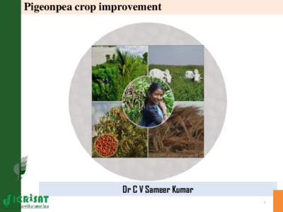 Pigeonpea crop improvement  Dr C V Sameer Kumar 1  Global Scenario