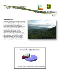 Tennessee  Tennessee Division of Forestry