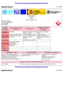 Nº CAS[removed]International Chemical Safety Cards (WHO/IPCS/ILO)