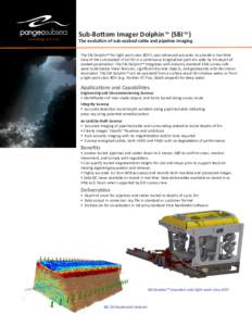 Sub-Bottom Imager Dolphin™ (SBI™)  The evolution of sub-seabed cable and pipeline imaging The SBI Dolphin™ for light work class ROV’s uses advanced acoustics to provide a real-time view of the sub-seabed in full 