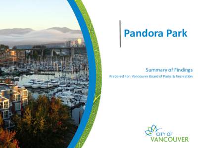 Pandora Park questionnaire summary of findings