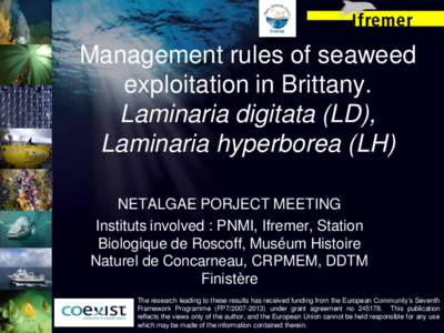 Seaweeds / Laminaria hyperborea / Laminaria digitata / Laminaria / Lampaul / Biomass / Plougonvelin / Lanildut / Brignogan-Plage / Communes of Finistère / Laminariaceae / Water
