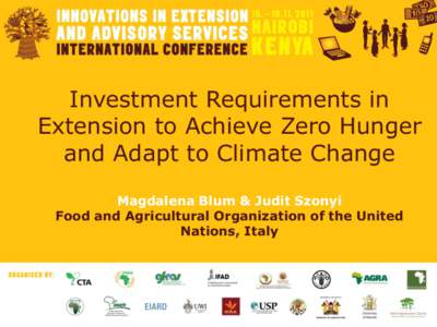 Investment Requirements in Extension to Achieve Zero Hunger and Adapt to Climate Change Magdalena Blum & Judit Szonyi Food and Agricultural Organization of the United Nations, Italy