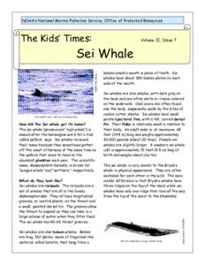 NOAA’s National Marine Fisheries Service, Office of Protected Resources  The Kids’ Times: Volume II, Issue 7