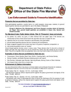 Law enforcement / Criminal Justice Information Services Division / Fire marshal / Firecracker / M-80 / Sparkling wine / Rocket / Consumer fireworks / Fireworks / Light / Sparkler