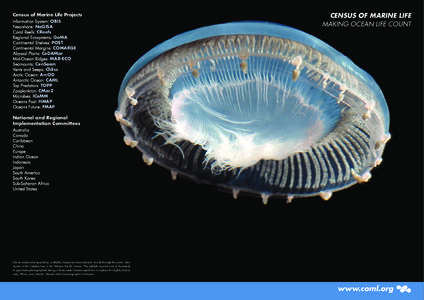 Ecology / Biological oceanography / Aquatic ecology / Biogeography / Planktology / Census of Marine Life / Stauroteuthis syrtensis / Stauroteuthis / Global Census of Marine Life on Seamounts / Biology / Marine biology / Water