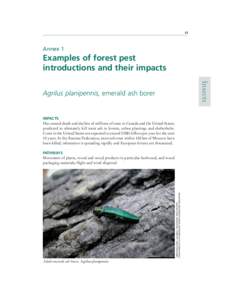 63  Annex 1 Examples of forest pest introductions and their impacts