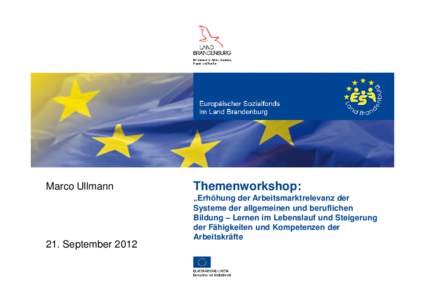 Marco Ullmann  21. September 2012 Themenworkshop: „Erhöhung der Arbeitsmarktrelevanz der