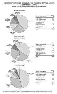 2012 COMPOSITION OF CONSOLIDATED TANGIBLE CAPITAL ASSETS BY MUNICIPAL TYPE (Includes TCA by the Municipality and its Owned or Controlled Organizations) Rural Municipalities Under Const.