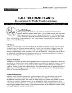 North Carolina Cooperative Extension NC STATE UNIVERSITY SALT TOLERANT PLANTS Recommended for Pender County Landscapes Pender County Cooperative Extension