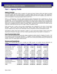 CSI Performance Measurement Report